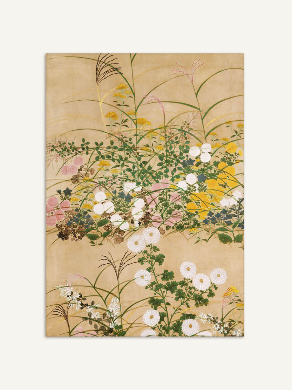 Chinoiserie-Kunstdruck mit einer detailreichen Darstellung von Herbstblumen, darunter weiße Chrysanthemen, gelbes Pampasgras und zarte grüne Blätter, auf einem beigen Hintergrund. Die feinen Linien und weiche Farbpalette verleihen dem Kunstwerk eine ruhige, natürliche Ästhetik.