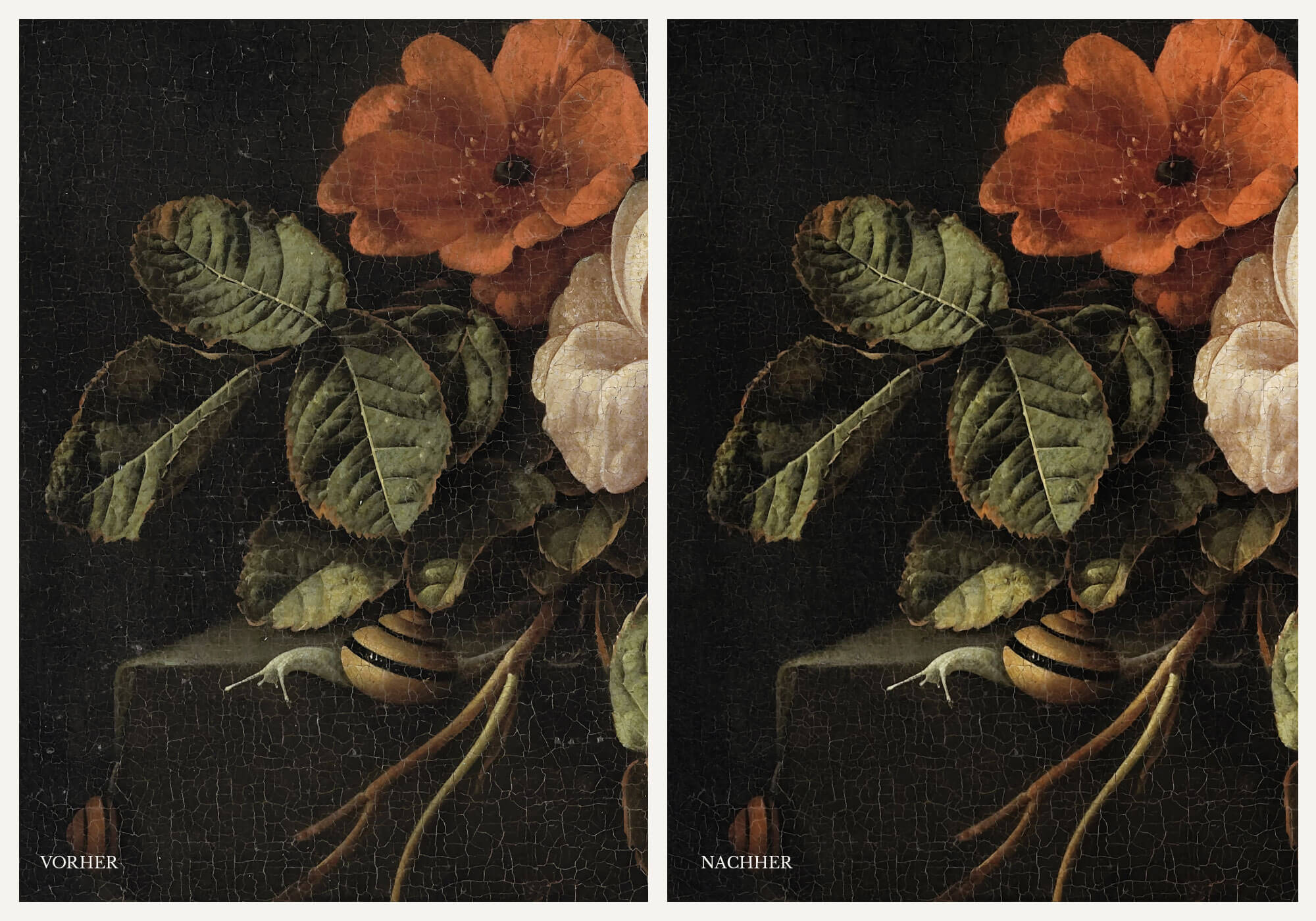 Vergleich eines Blumenstilllebens vor und nach der digitalen Restauration. Links zeigt das Bild vor der Restaurierung verblasste Farben und feine Risse in der Malschicht. Rechts sind die Farben kräftiger und die Details klarer, wobei die Struktur des Blattes und die Blütenblätter intensiver zur Geltung kommen. 